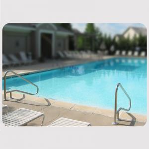 304 Stainless Steel Laddder Flange Swimming Pool Handrail
