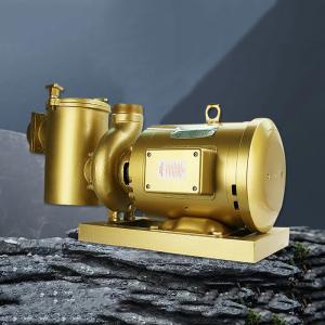 Low Noise with Hair Collector Copper Swimming Pool Water Pump